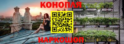 mdpv Боровичи