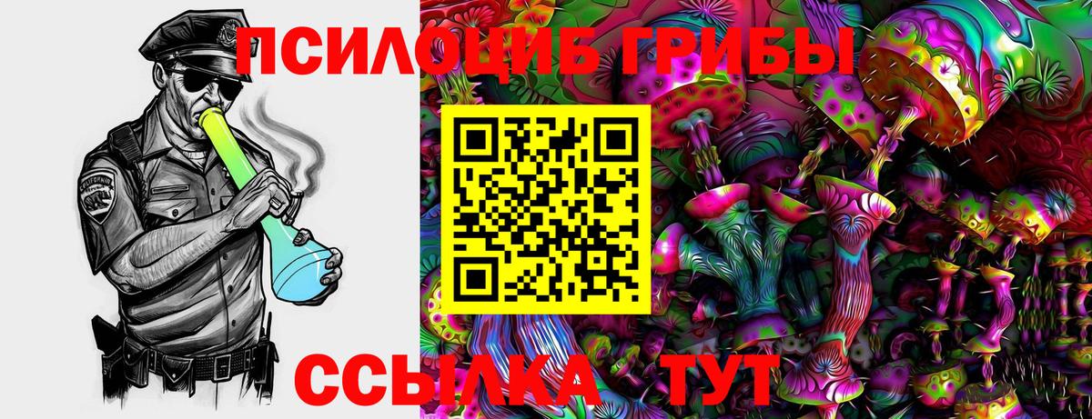 Псилоцибиновые грибы прущие грибы  Вход с VPN  Псилоцибиновые грибы MAGIC MUSHROOMS  закладки  Волгоград 
